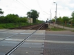 wesola