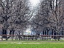 fot.4 - powiększ