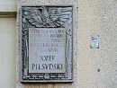 fot.3 - powiększ