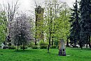 fot.8 - powiększ